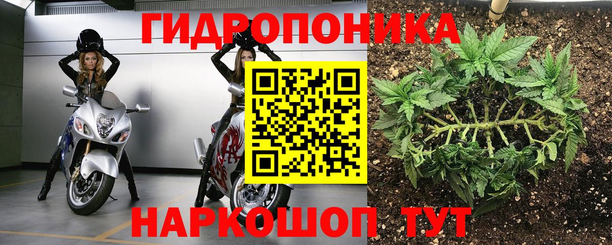МАРИХУАНА семена Фролово